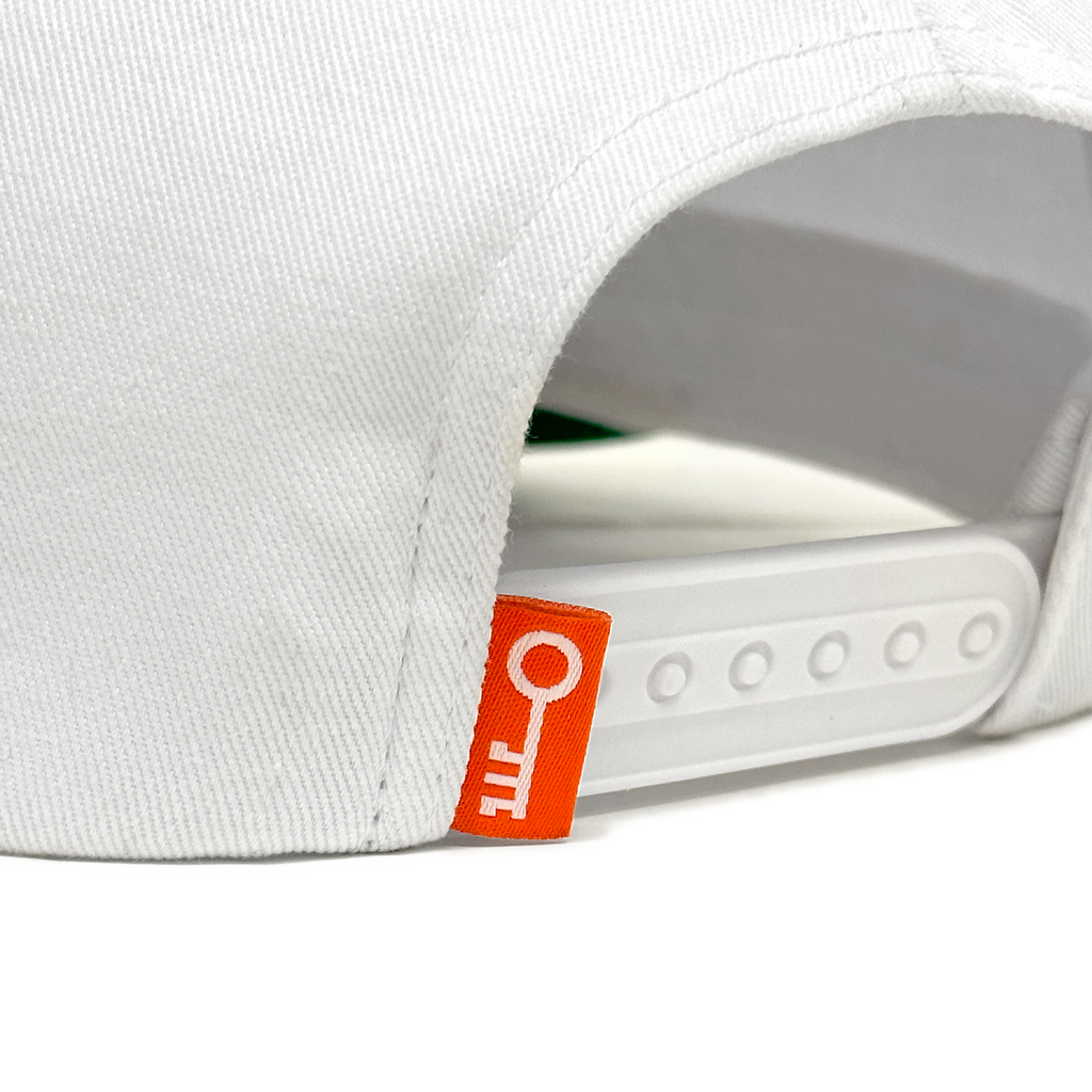 Cold Hard Snap Back